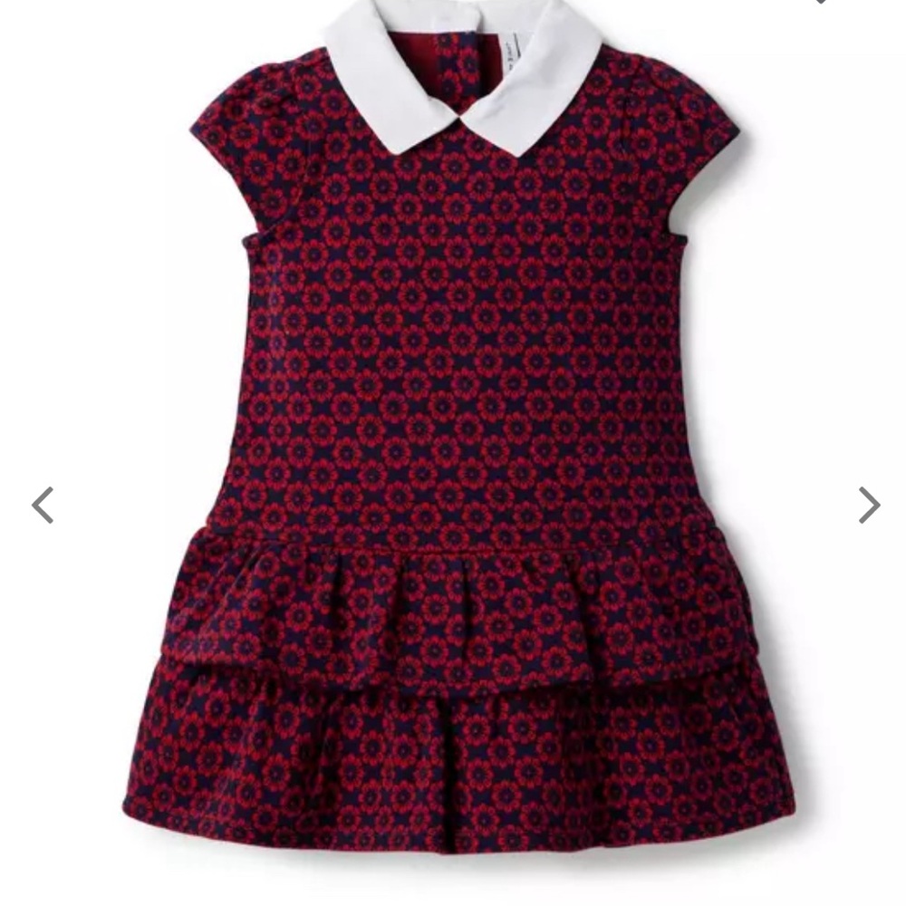 Janie & Jack Dress - FLORAL DROP WAIST JACQUARD DRESS - Size 4